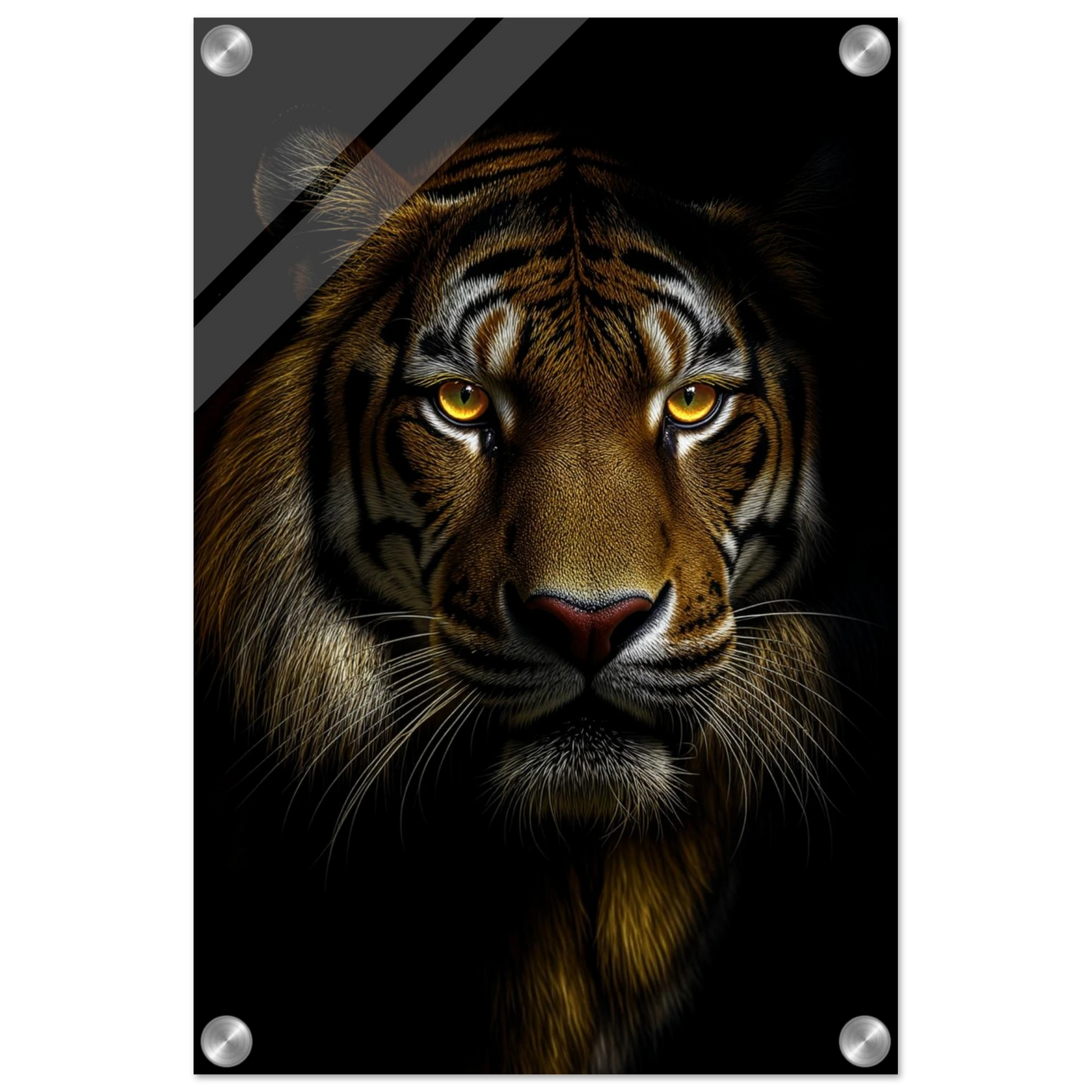 01492a49-e312-4fe9-94a3-a4fa8c679d6f