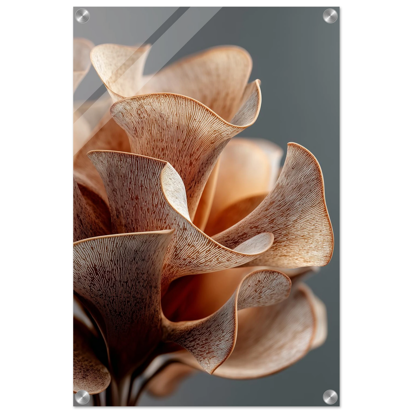 12c04a84-4079-4242-9d16-390bd77ac5a9