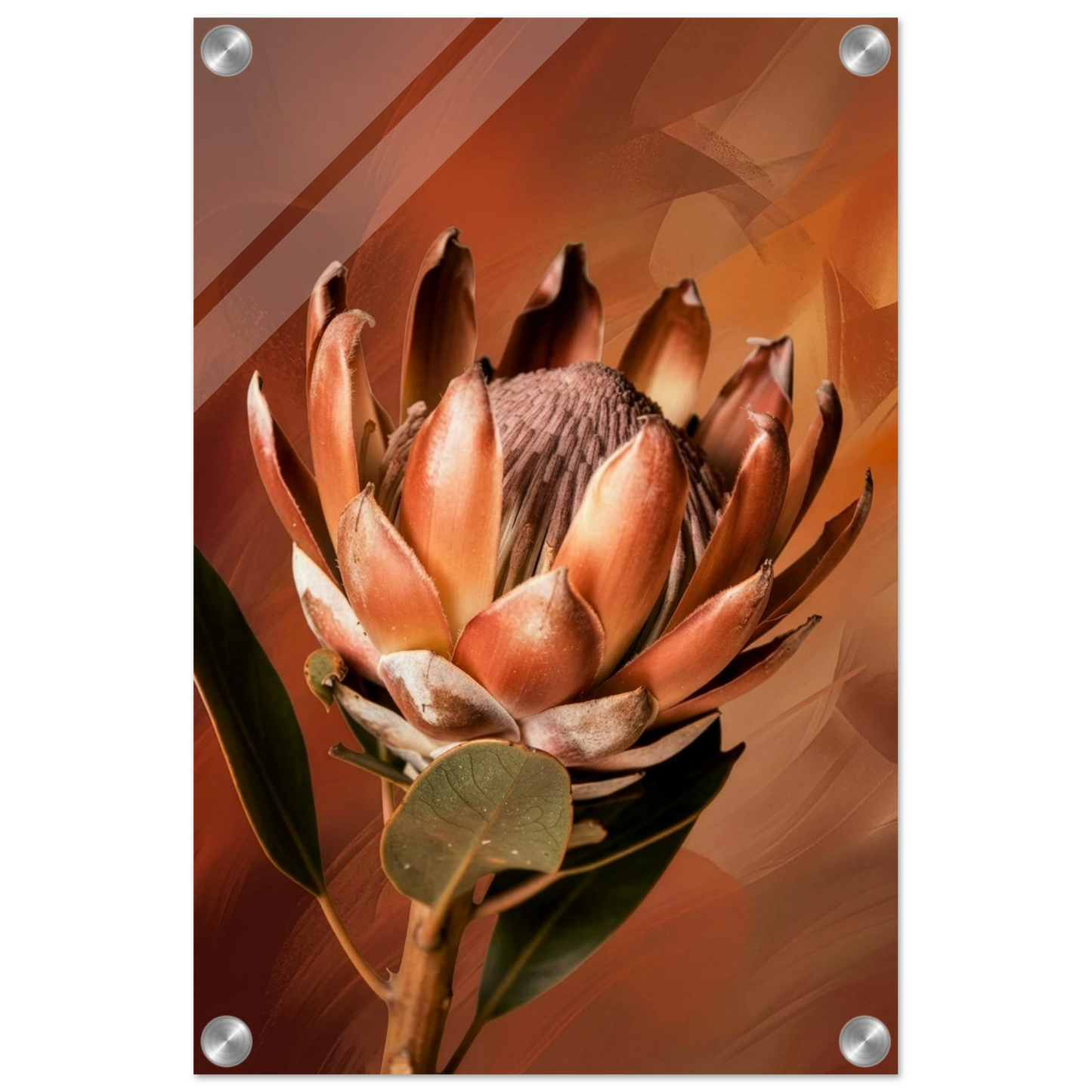 213b2ea8-8b51-4b1f-a892-3f2186cb9990