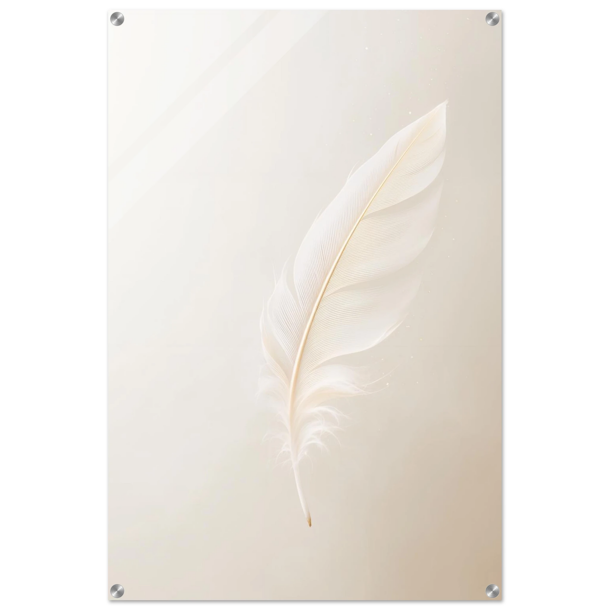 Decorative wall art with a white feather on a light beige background