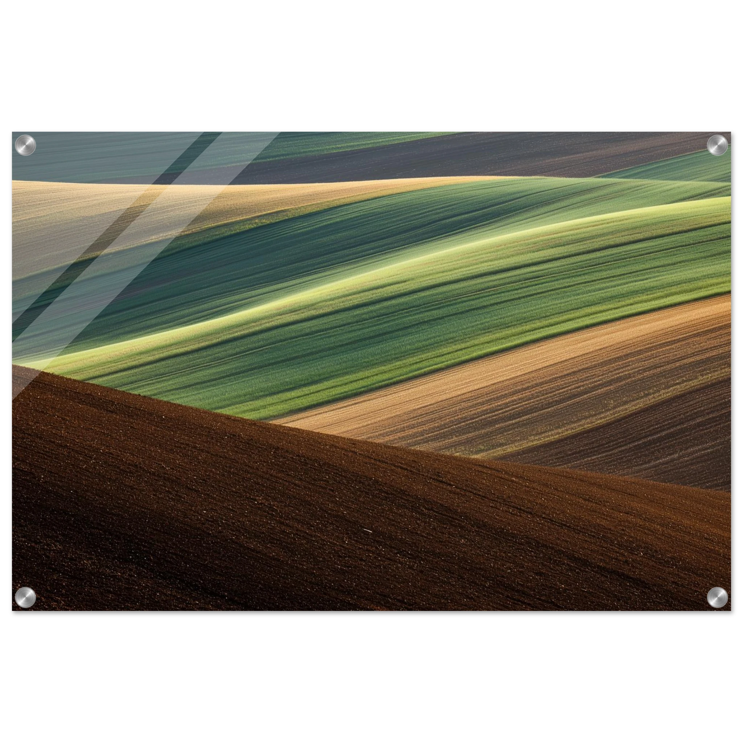 41260dec-35e1-41bf-ad6a-6a31ca21472b