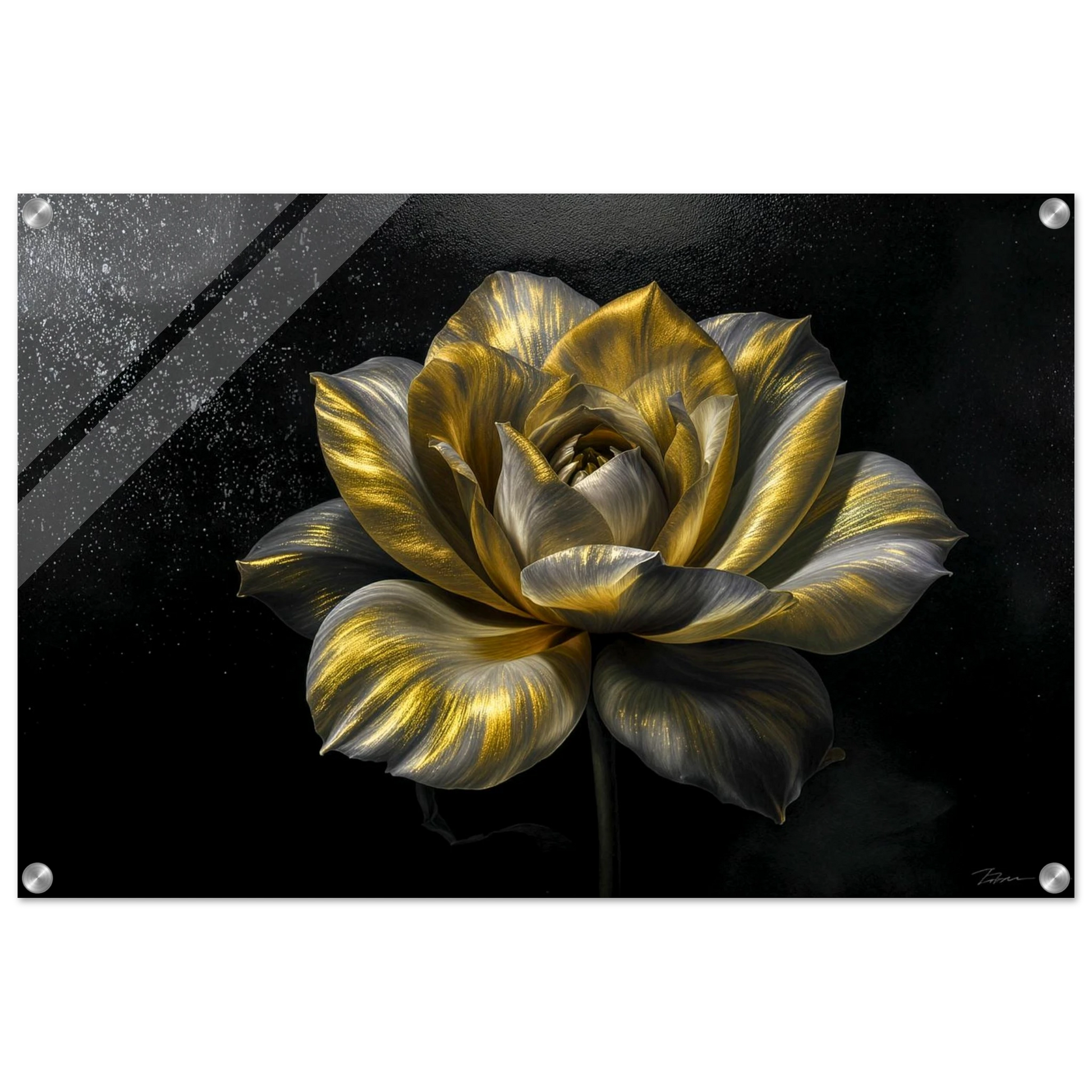 52492a2a-9014-4135-99eb-57f63255d186