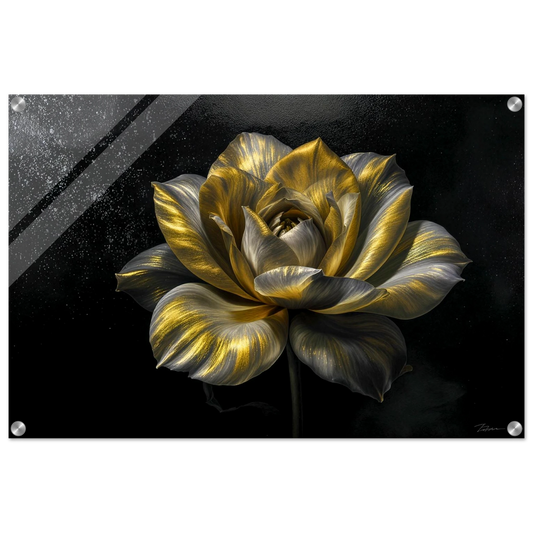 52492a2a-9014-4135-99eb-57f63255d186