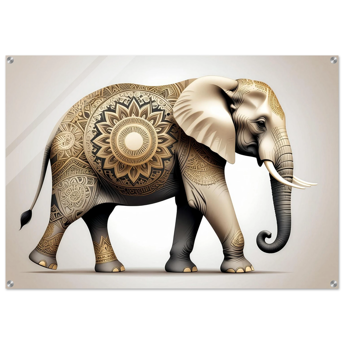 6a2f79fc-1496-4dc8-a01c-9999c9348748