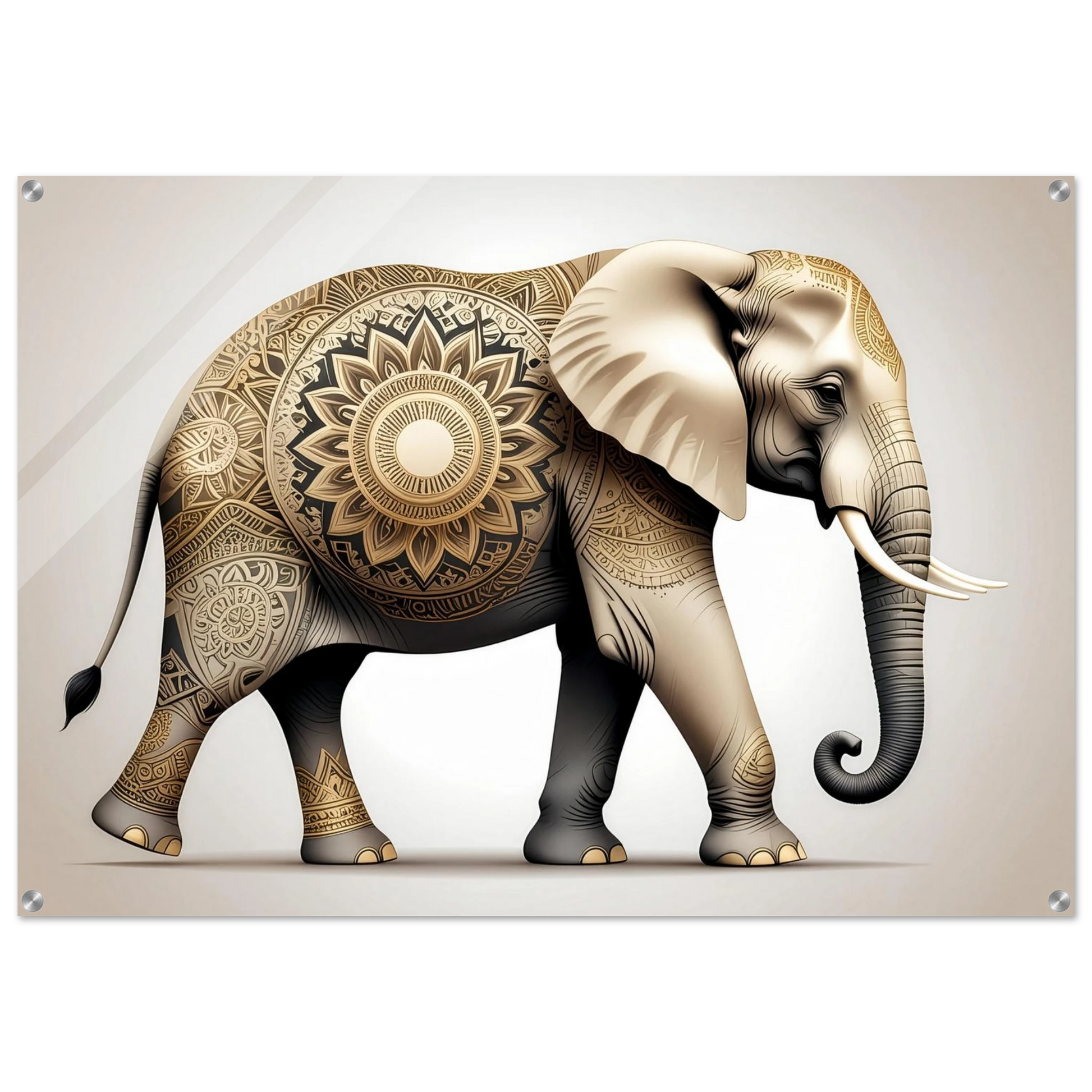 6a2f79fc-1496-4dc8-a01c-9999c9348748