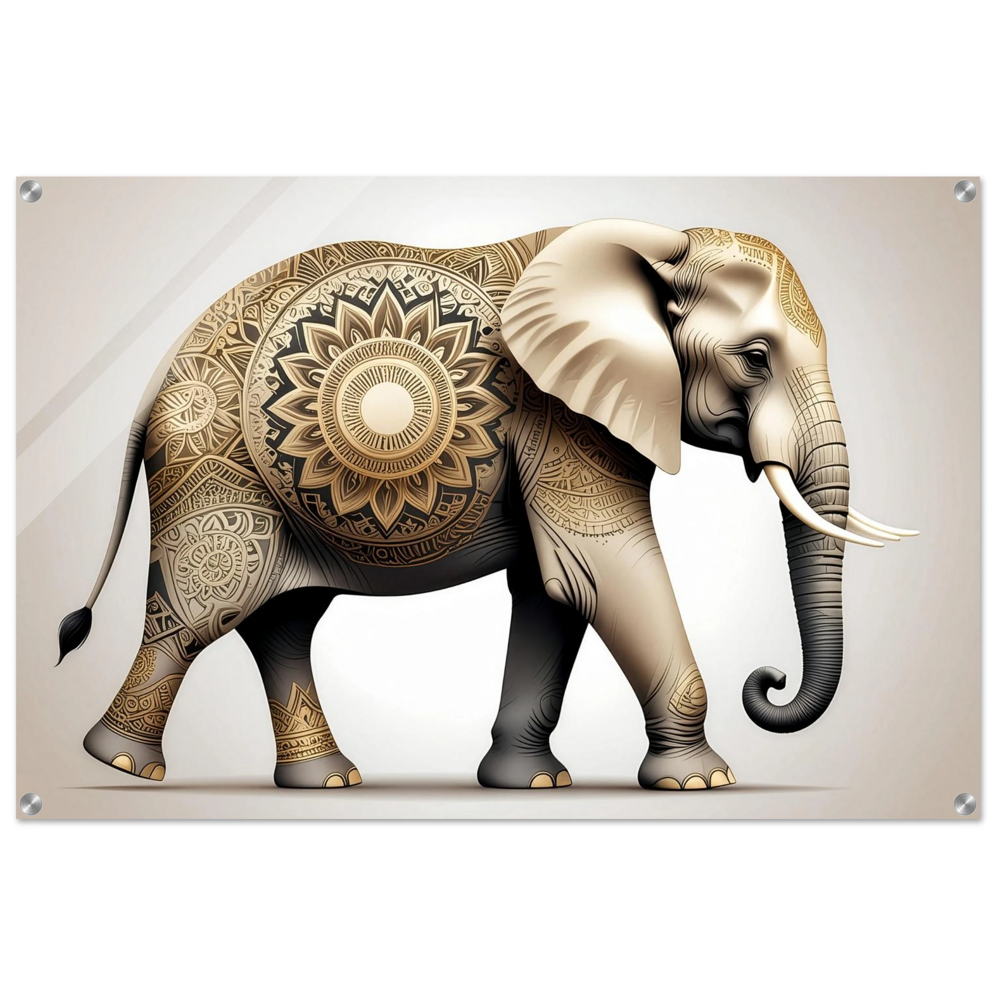 6de6aac3-4b9e-4f34-81b5-38331c209e2c