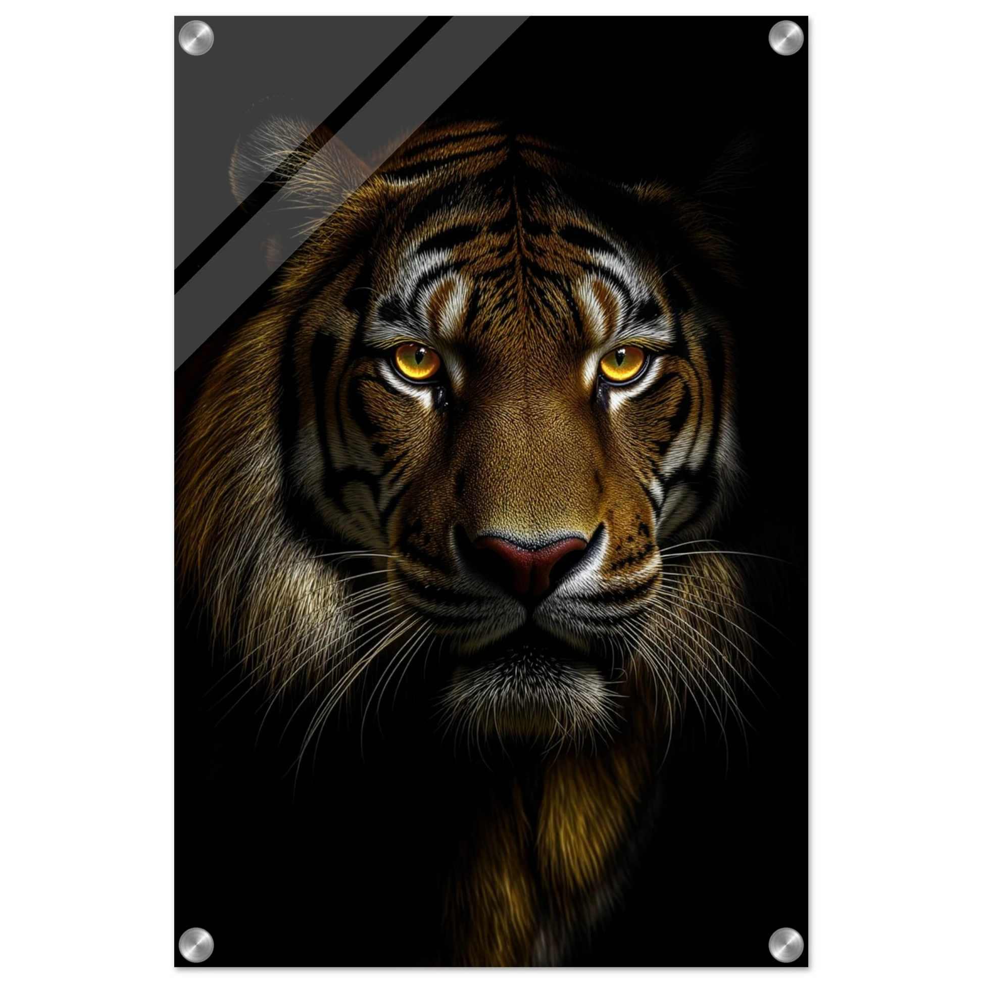 89db1203-5228-4d13-ad28-29c26917fa38