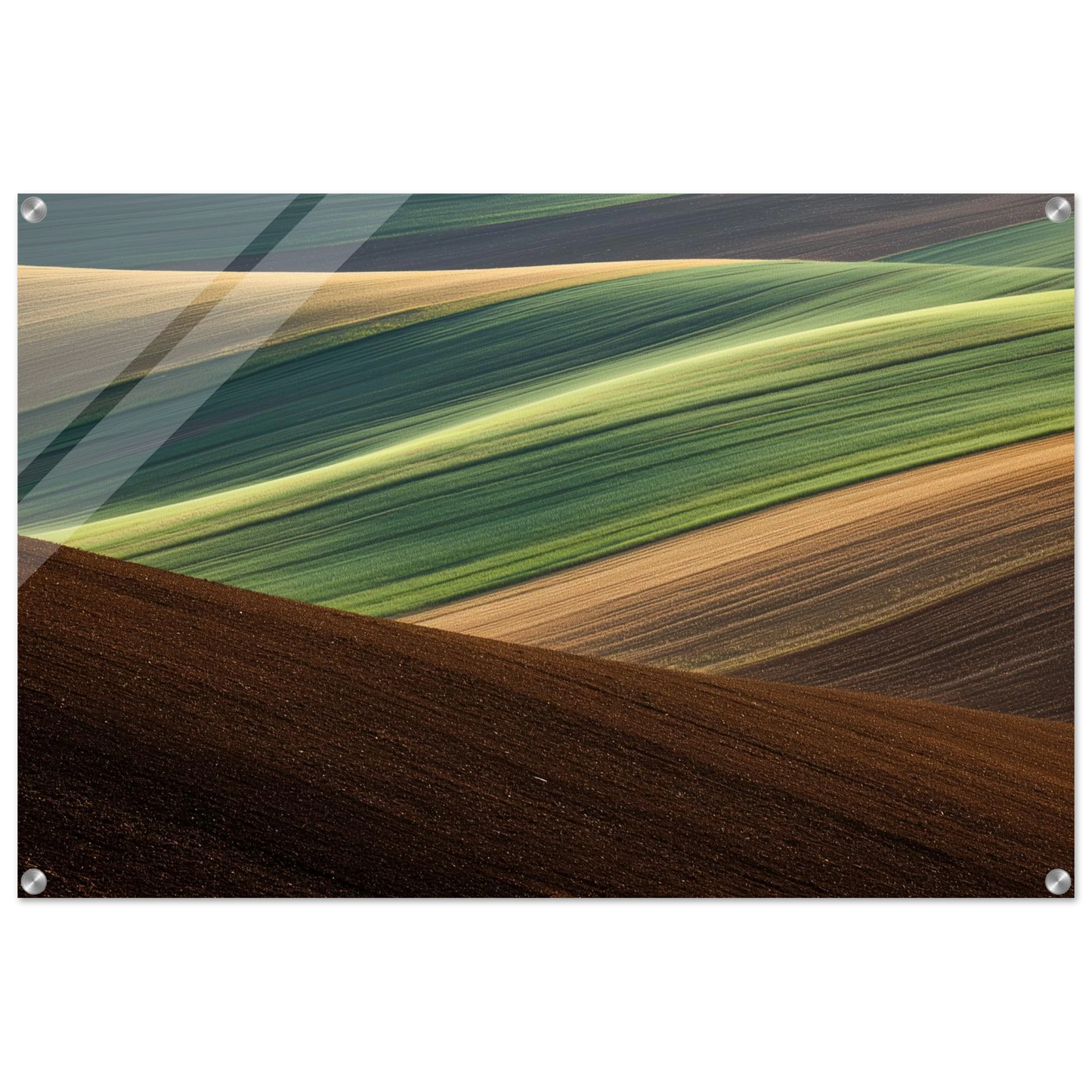 8caf6ccc-c672-46fc-b951-992dd8f38b5f