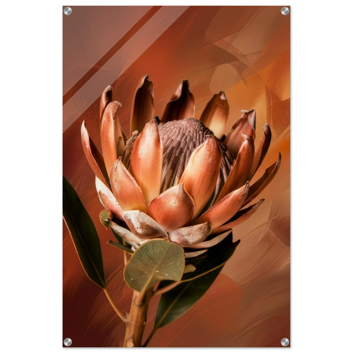 93e3229a-6301-4a2d-93f2-11c8d361f21d