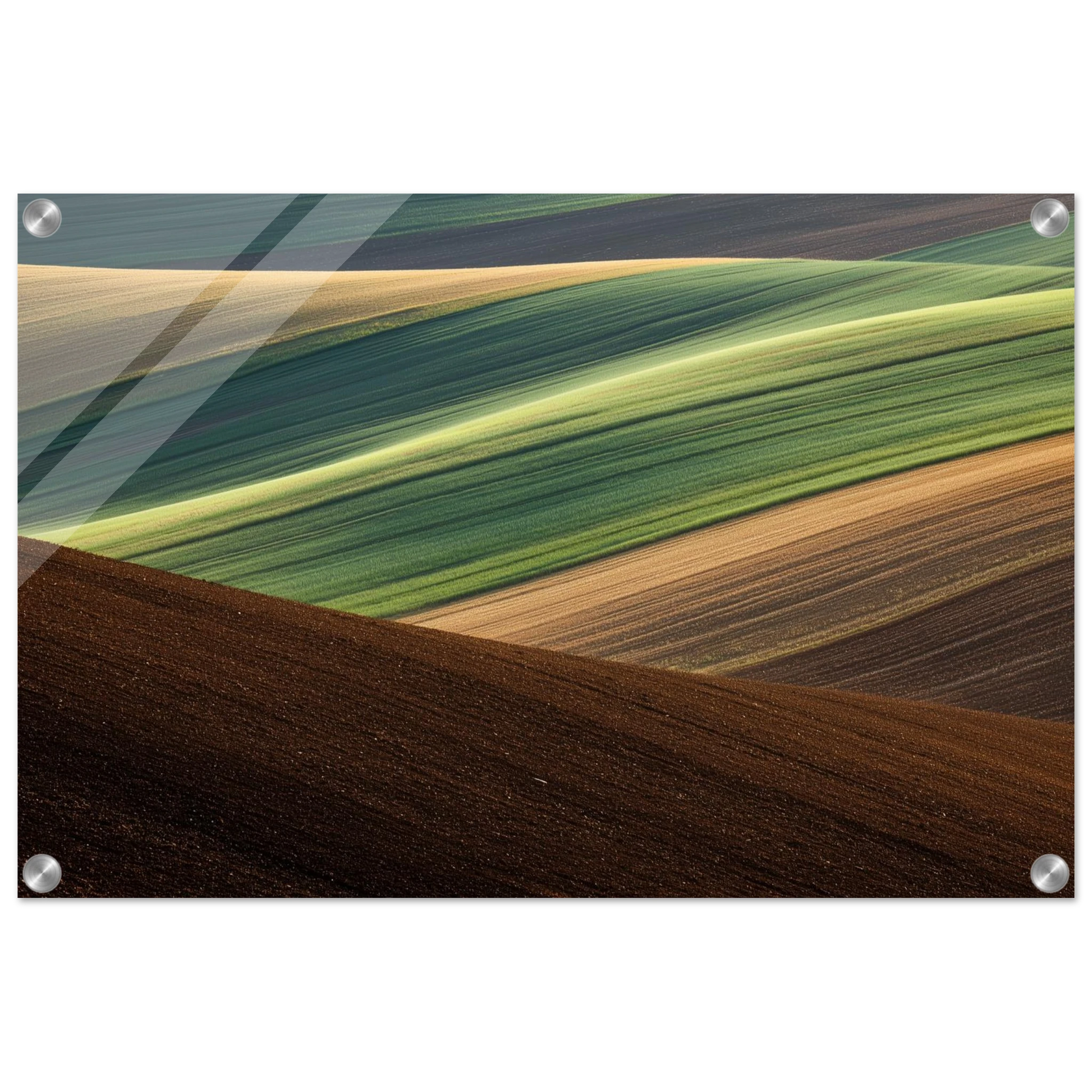 a97683ac-ac6f-4009-8359-19d1126f5232