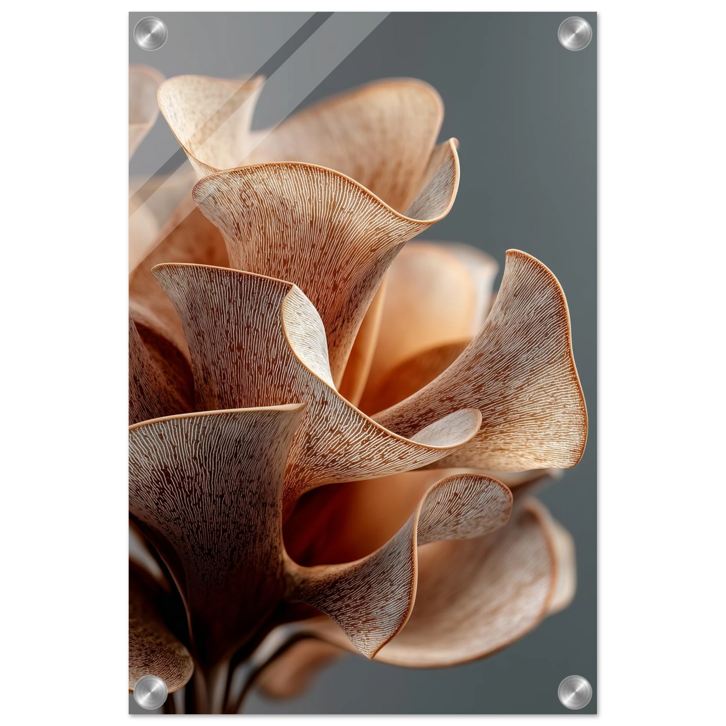 b83b9084-d0d1-4c80-9d07-bd4e8aced3c3