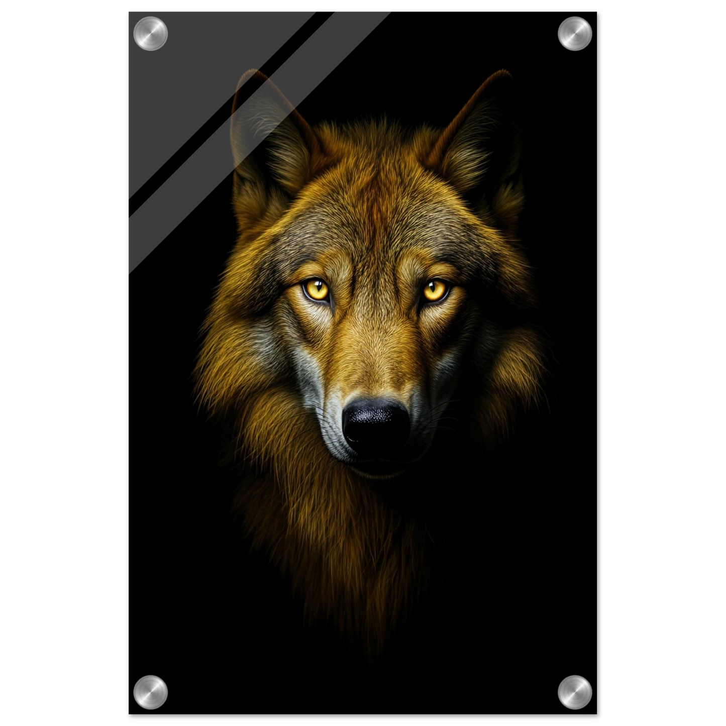 ba933b8e-421b-49dc-8ced-3a79a5904b08