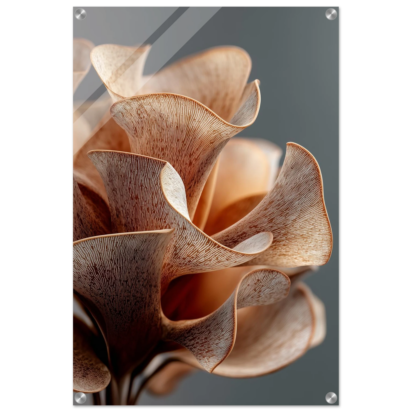 bdaa65f7-ca76-43ca-afb2-57be4635fad1