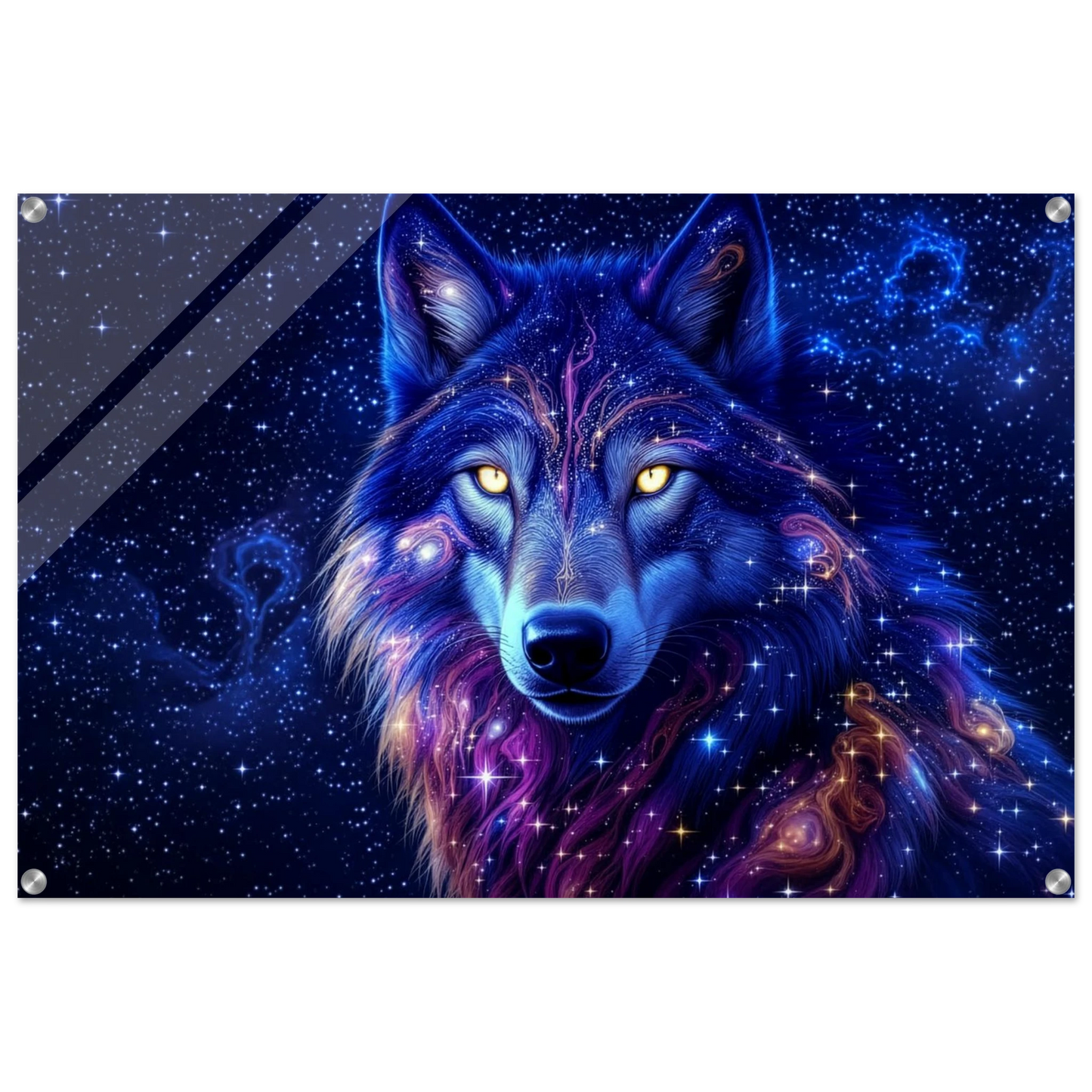 c51b8fb3-8308-4bc8-a28e-c438dfde1504