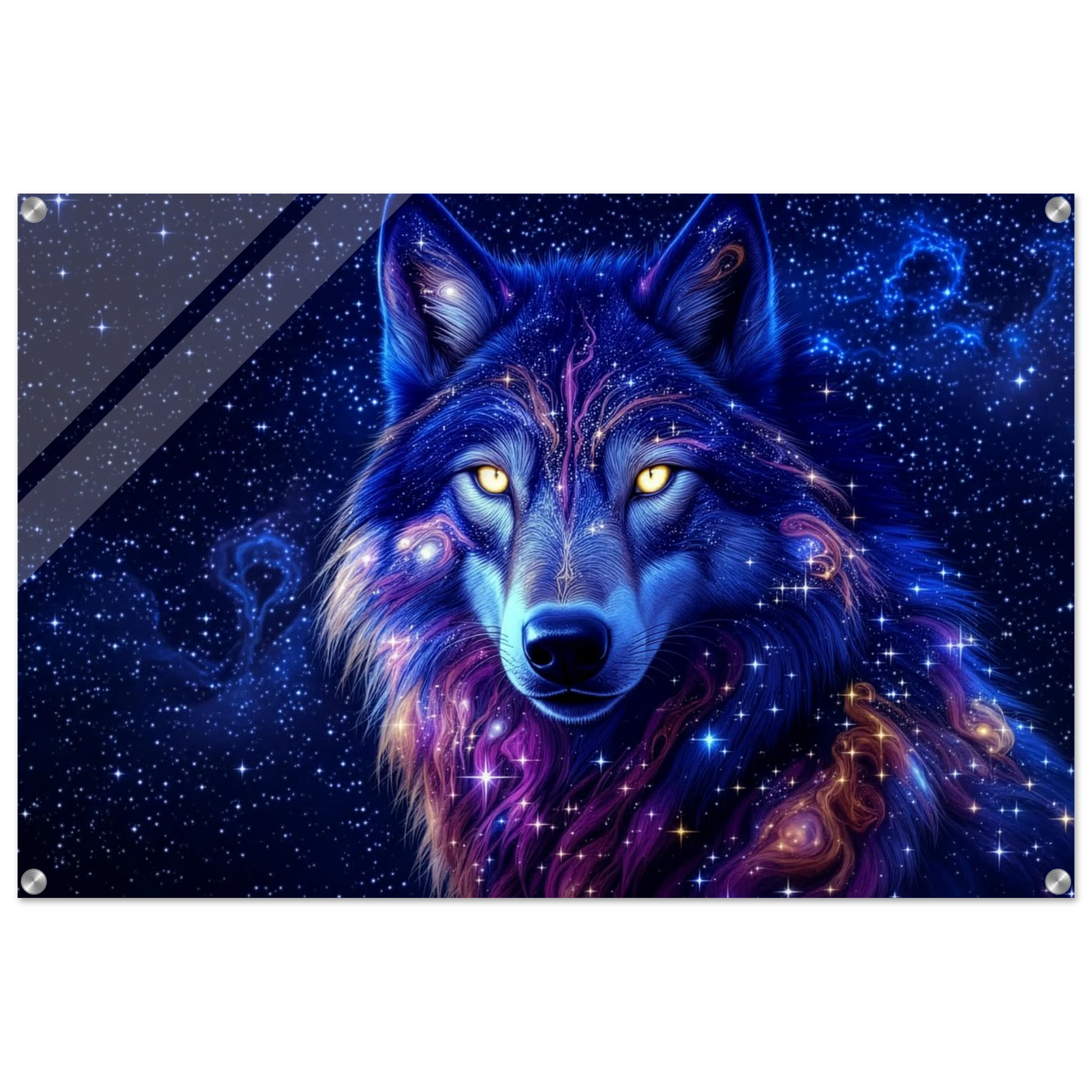 c51b8fb3-8308-4bc8-a28e-c438dfde1504