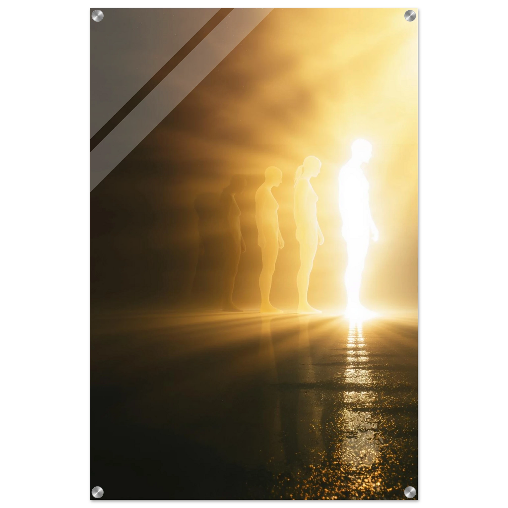 c6c9ec06-0143-4d24-b7ec-ecfe9dcb0636