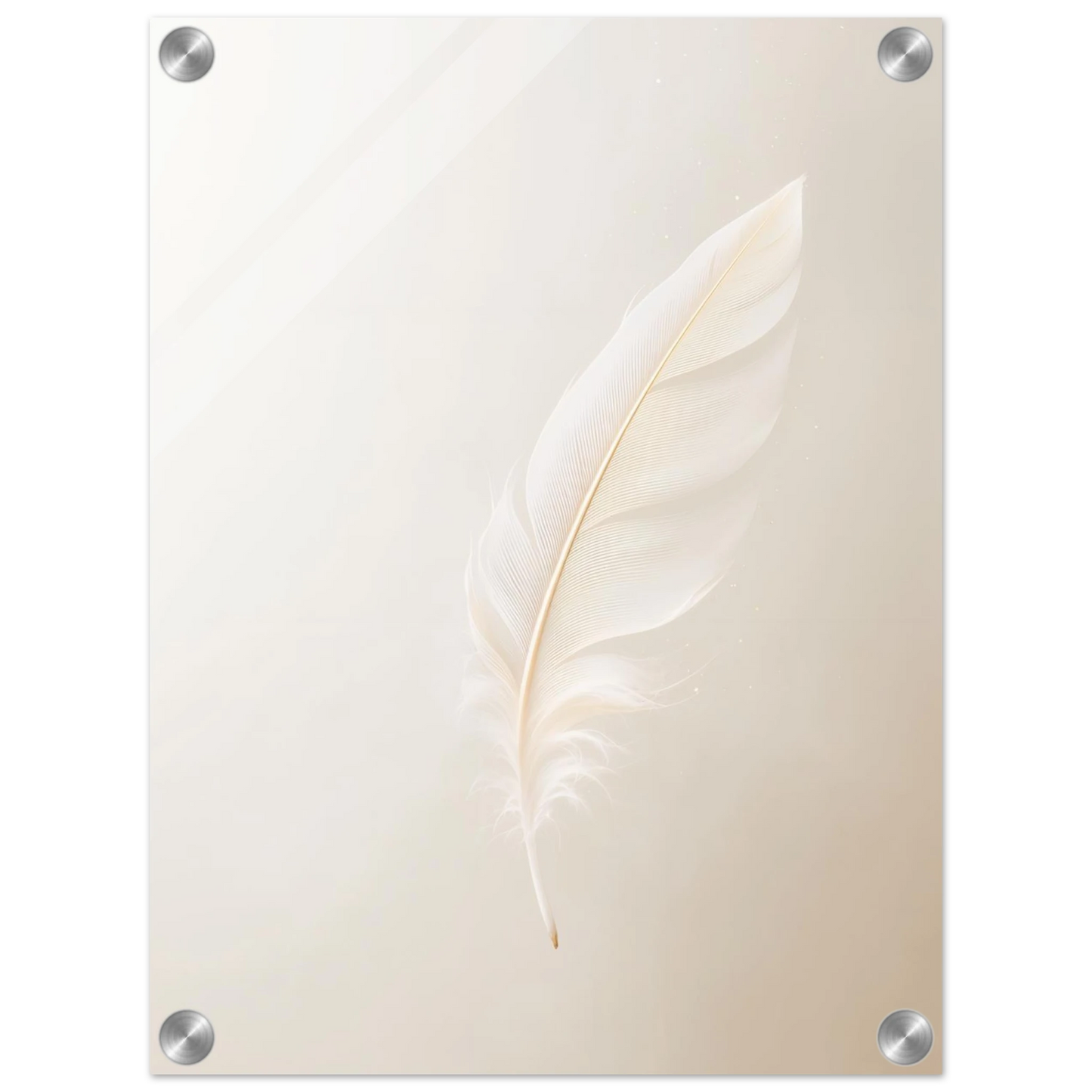Glass panel with a feather design on a white background