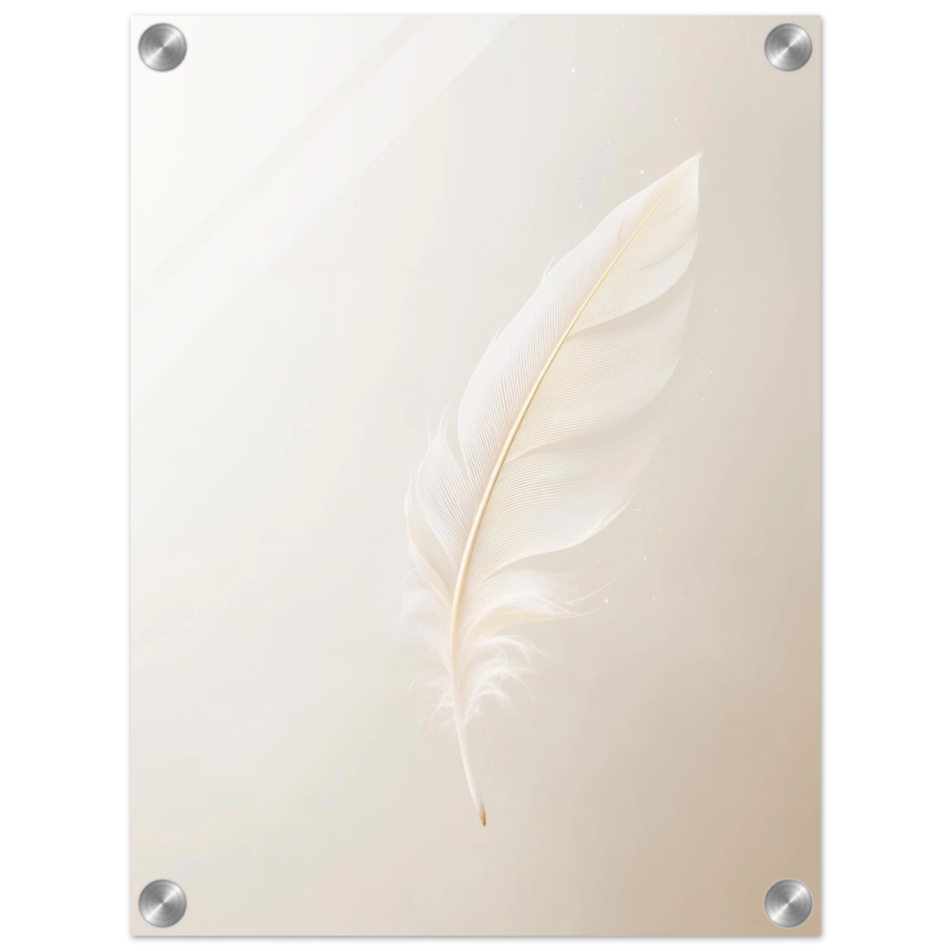 Glass panel with a feather design on a white background