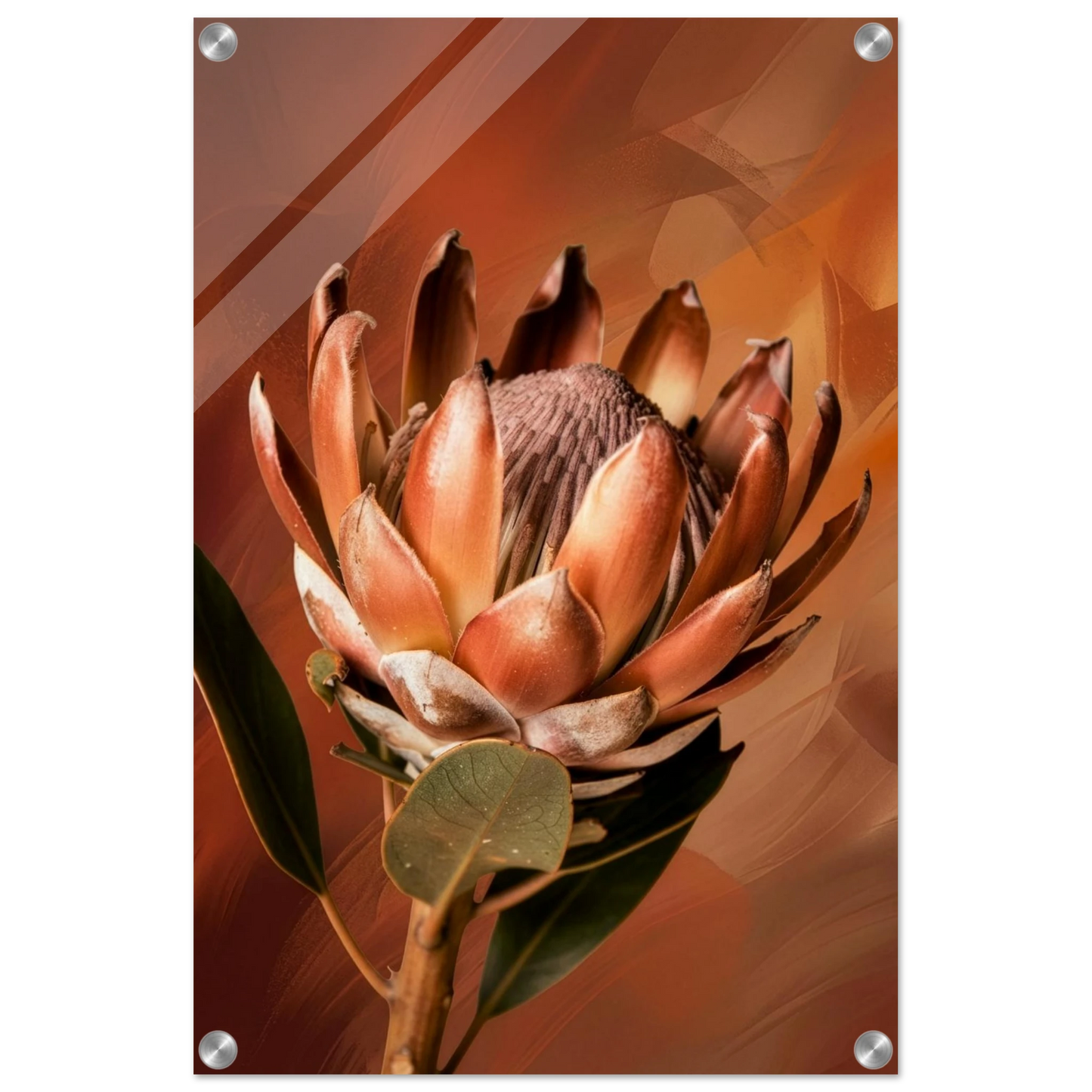 e7132681-11ef-4fff-b33a-7ea61a56e6aa